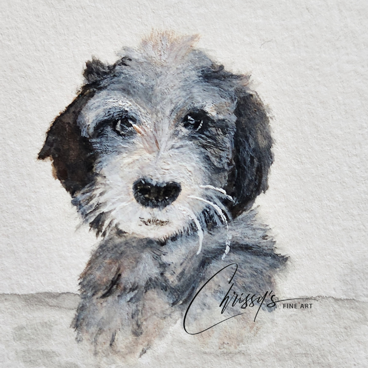 Hope, Wellness, Sympathy! Greeting Card Collection