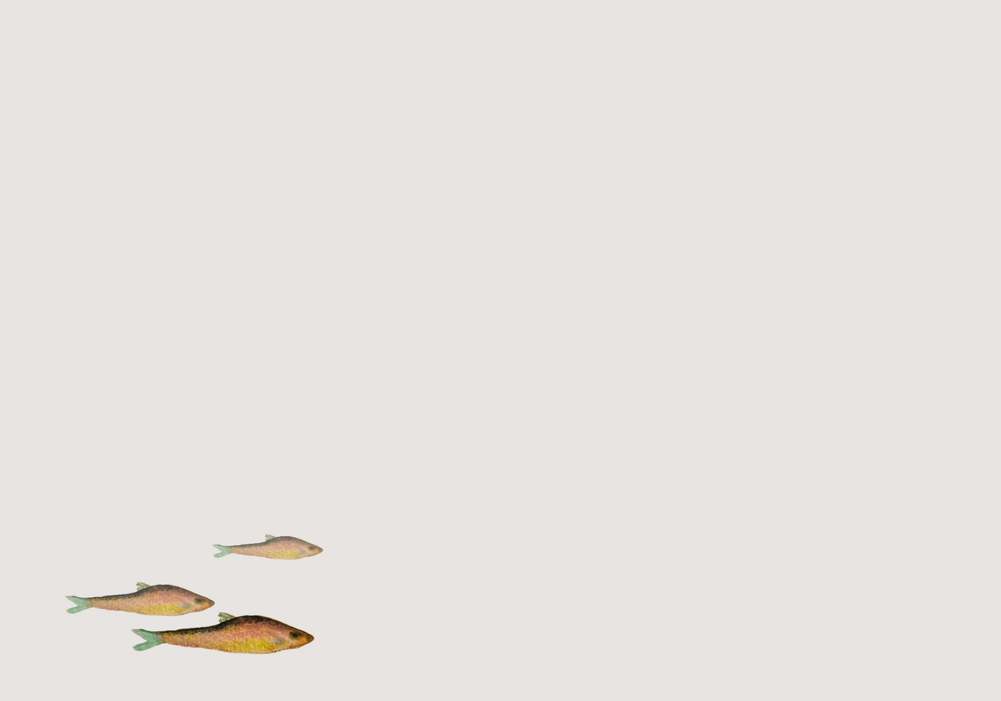 Rainbow Trout! Alaska's Beauty Greeting Card