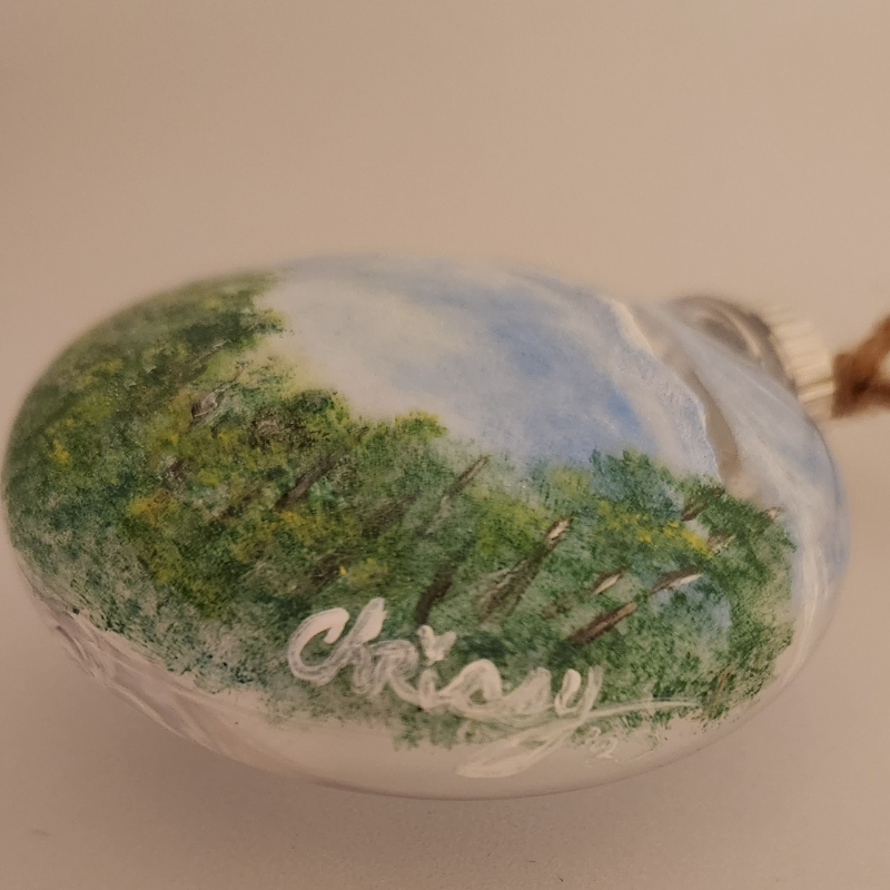 Denali Mountain in Alaska Disc Ornament!