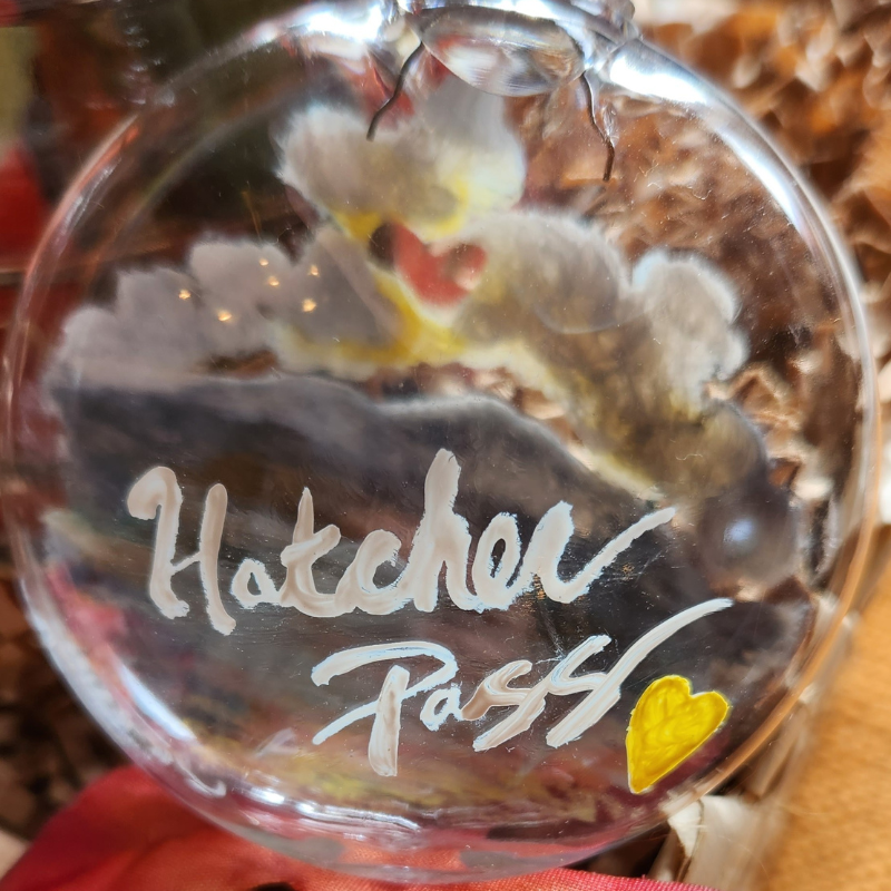 Hatcher Pass Alaska Disc Ornament!