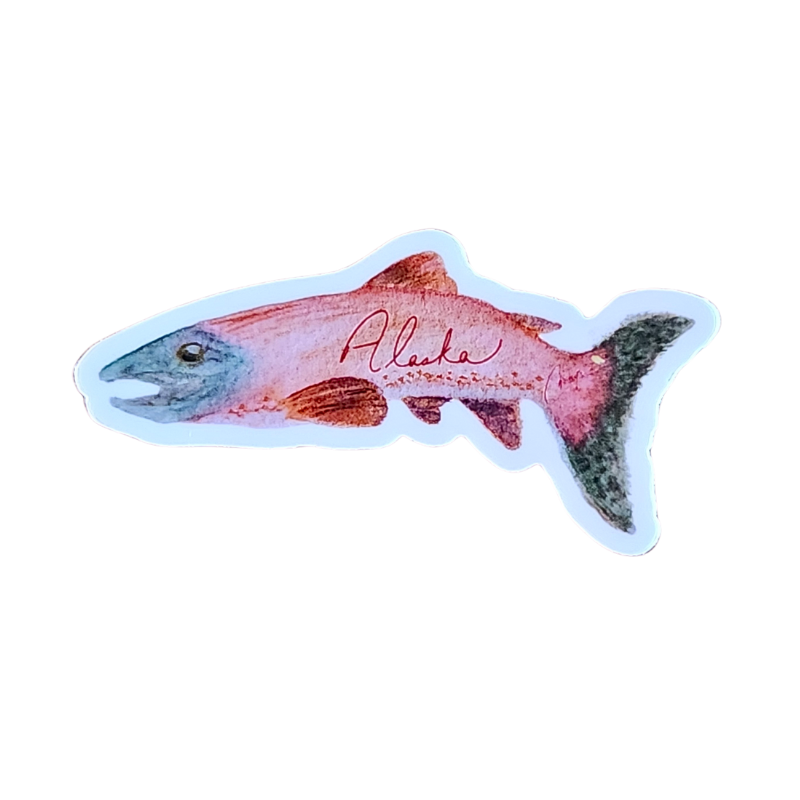 Alaska Sockeye Salmon! 3" x 1.69" Die Cut Sticker