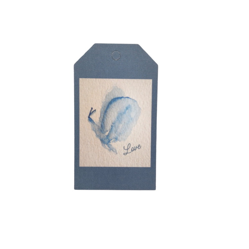 Something Blue Butterflies Wrapping Paper and Gift Tag Set