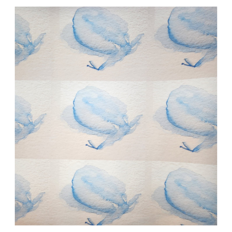 Something Blue Butterflies Wrapping Paper and Gift Tag Set