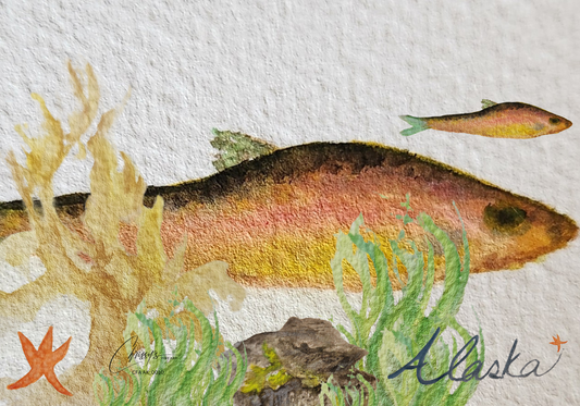 Rainbow Trout! Alaska's Beauty Greeting Card