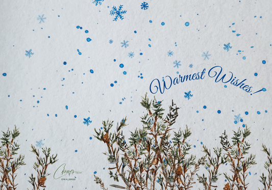 Warmest Wishes! Holiday Greeting Card