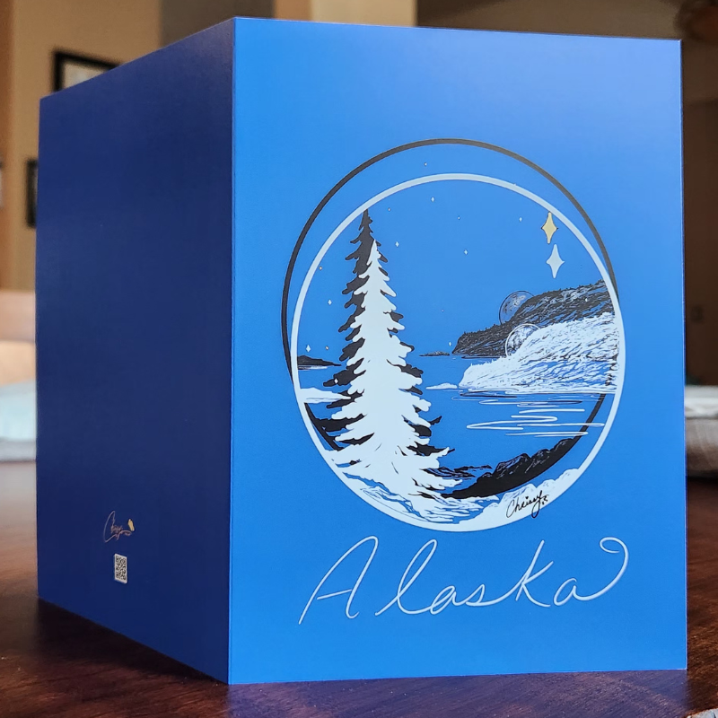 North Star Shines Bright! Greeting Card
